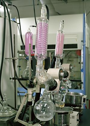 さまざまな種類の水中カメラを販売